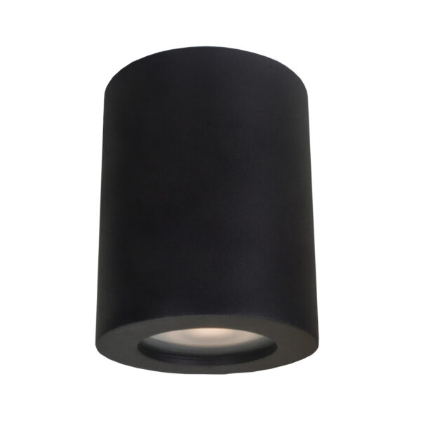 Surface mounted ceiling light Lux Fausto 40w – surface mounted ceiling lights in black and steel