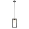 Pendant lamp Lux Daisy
