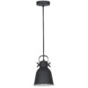 ideal for stylish interiors.
