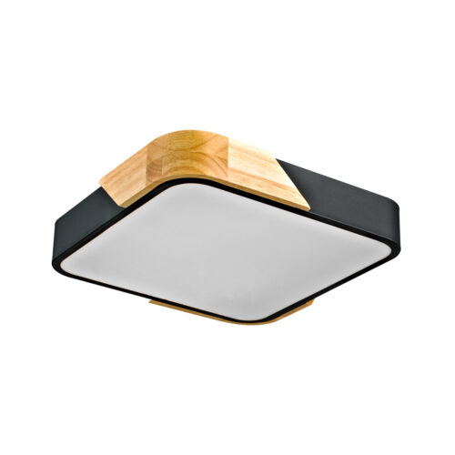 Surface mounted ceiling light Lux Santer – surface mounted ceiling lights in black
