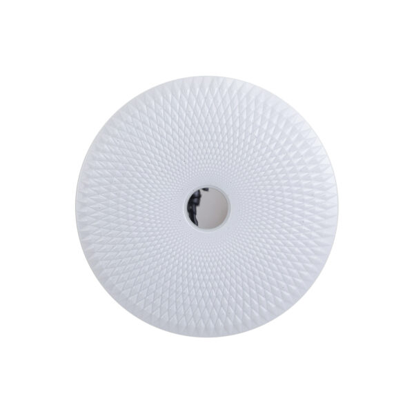 Flush mount ceiling light Lux Gemi – flush mount ceiling lights in white and steel