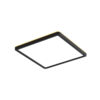 Flush mount ceiling light Lux Aleria – flush mount ceiling lights in black and plastic