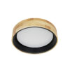 Flush mount ceiling light Lux Campelo – flush mount ceiling lights in black