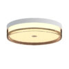 Flush mount ceiling light Lux Molino 32w