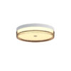 Flush mount ceiling light Lux Molino