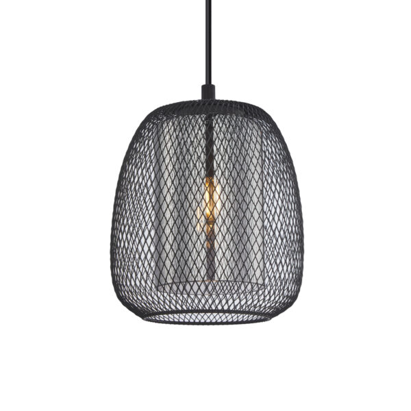 Pendant lamp Lux Amiria 40w