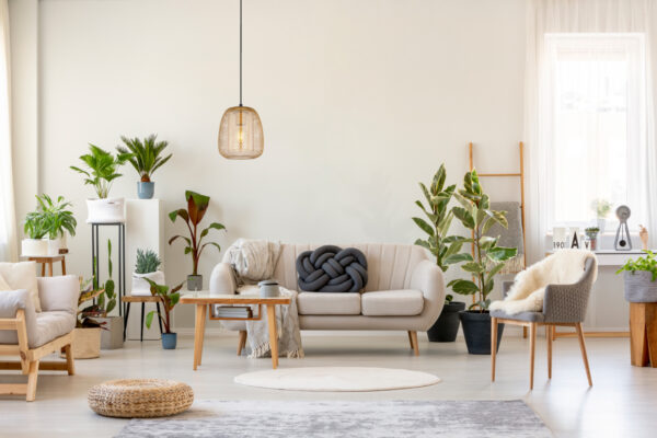 ideal for stylish interiors.