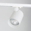 ideal for stylish interiors.