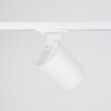 Wires for track lighting Lux Selva 1C S