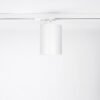 Wires for track lighting Lux Selva 1C S