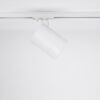 Wires for track lighting Lux Selva 1C S
