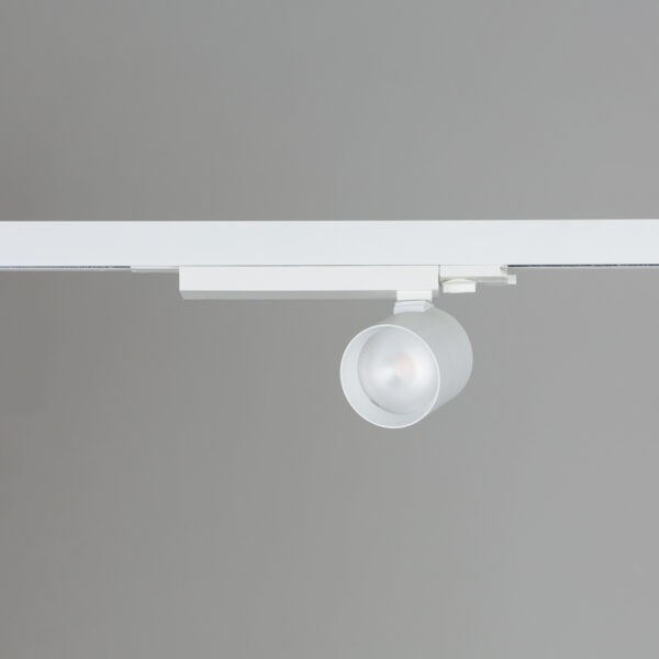 ideal for stylish interiors.