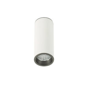 Surface mounted ceiling light Lux Moldes Medium WH/GR Ceiling 4000K – surface mounted ceiling lights in white grey and aluminum