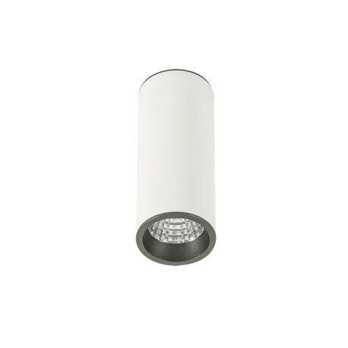 Surface mounted ceiling light Lux Moldes Medium WH/GR Ceiling 4000K – surface mounted ceiling lights in white grey and aluminum