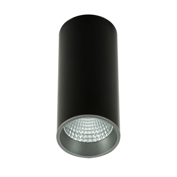 Surface mounted ceiling light Lux Moldes Big BL/GR Celing 3000K – surface mounted ceiling lights in black