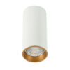Surface mounted ceiling light Lux Moldes Big WH/GO Celing 3000K – surface mounted ceiling lights in gold white and aluminum