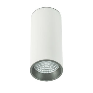 Surface mounted ceiling light Lux Moldes Big WH/GR Ceiling 3000K – surface mounted ceiling lights in white grey and aluminum