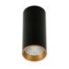 Surface mounted ceiling light Lux Moldes Big BL/GO Ceiling 4000K – surface mounted ceiling lights in black