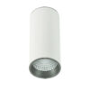 Surface mounted ceiling light Lux Moldes Big WH/GR Ceiling 4000K – surface mounted ceiling lights in white grey and aluminum