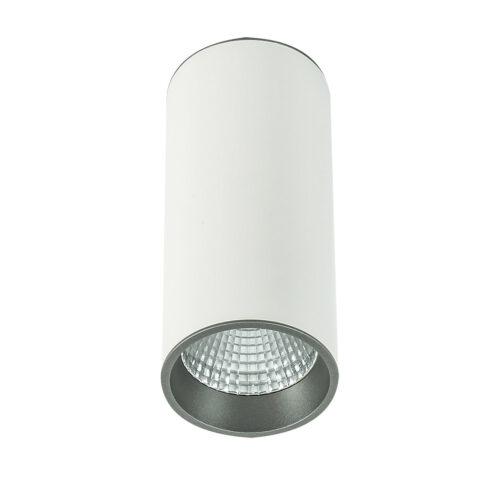 Surface mounted ceiling light Lux Moldes Big WH/GR Ceiling 4000K – surface mounted ceiling lights in white grey and aluminum
