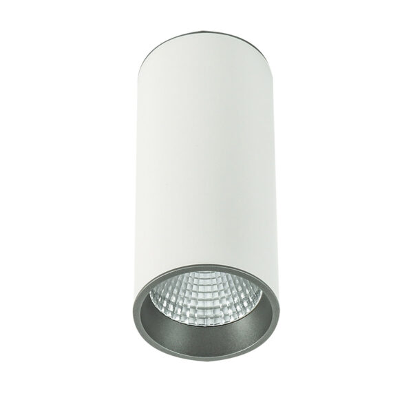 Surface mounted ceiling light Lux Moldes Big WH/GR Ceiling 4000K – surface mounted ceiling lights in white grey and aluminum