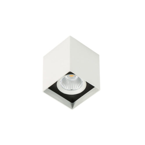 Surface mounted ceiling light Lux Alden White Black 3000K – surface mounted ceiling lights in white