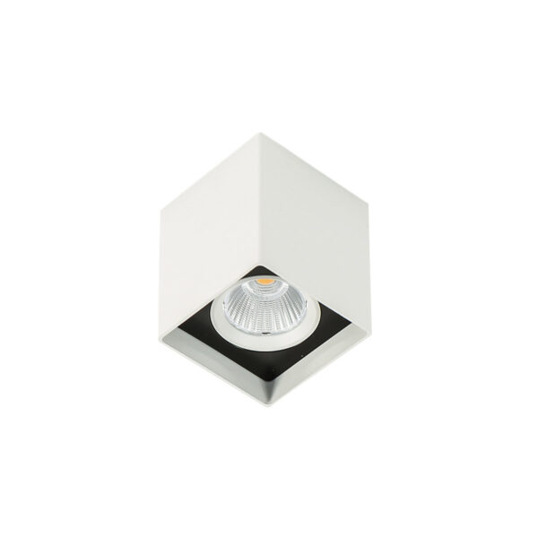 Surface mounted ceiling light Lux Alden White Black 3000K – surface mounted ceiling lights in white