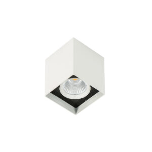 Surface mounted ceiling light Lux Alden White Black 4000K – surface mounted ceiling lights in white