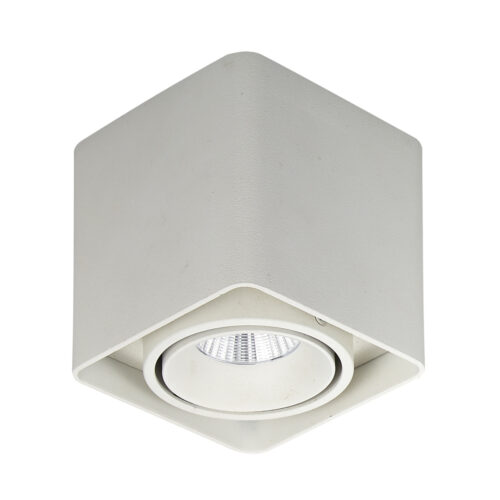 Surface mounted ceiling light Lux Bonnie – surface mounted ceiling lights in white and aluminum
