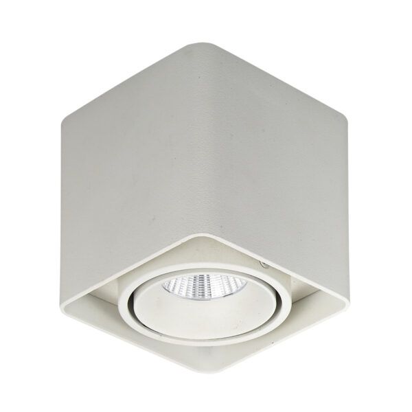 Surface mounted ceiling light Lux Bonnie – surface mounted ceiling lights in white and aluminum