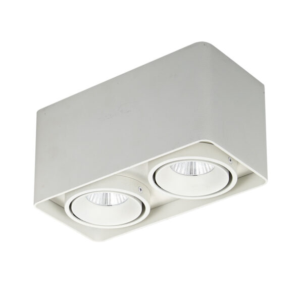 Surface mounted ceiling light Lux Bonnie 20w – surface mounted ceiling lights in white and aluminum