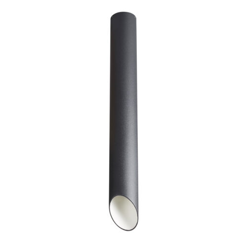 Surface mounted ceiling light Lux Argon – surface mounted ceiling lights in white