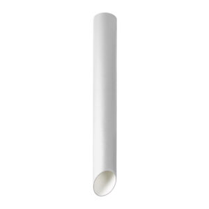 Surface mounted ceiling light Lux Argon – surface mounted ceiling lights in white and aluminum