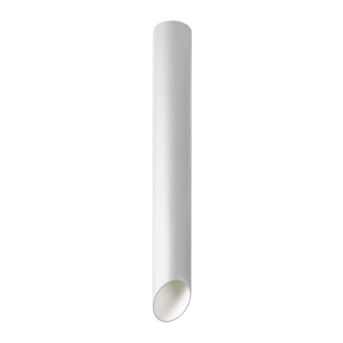 Surface mounted ceiling light Lux Argon – surface mounted ceiling lights in white and aluminum