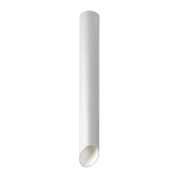 Surface mounted ceiling light Lux Argon – surface mounted ceiling lights in white and aluminum