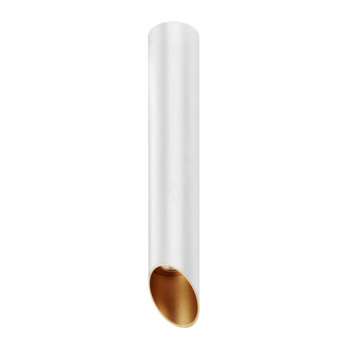 Surface mounted ceiling light Lux Argon – surface mounted ceiling lights in white and aluminum