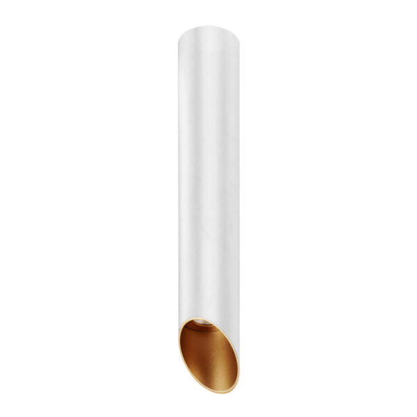 Surface mounted ceiling light Lux Argon – surface mounted ceiling lights in white and aluminum