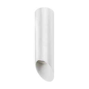 Surface mounted ceiling light Lux Argon – surface mounted ceiling lights in white and aluminum