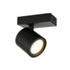 ideal for stylish interiors.