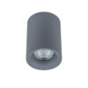 Surface mounted ceiling light Lux Flynn – surface mounted ceiling lights in grey and aluminium metal