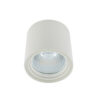 Surface mounted ceiling light Lux Luna White – surface mounted ceiling lights in white and aluminum
